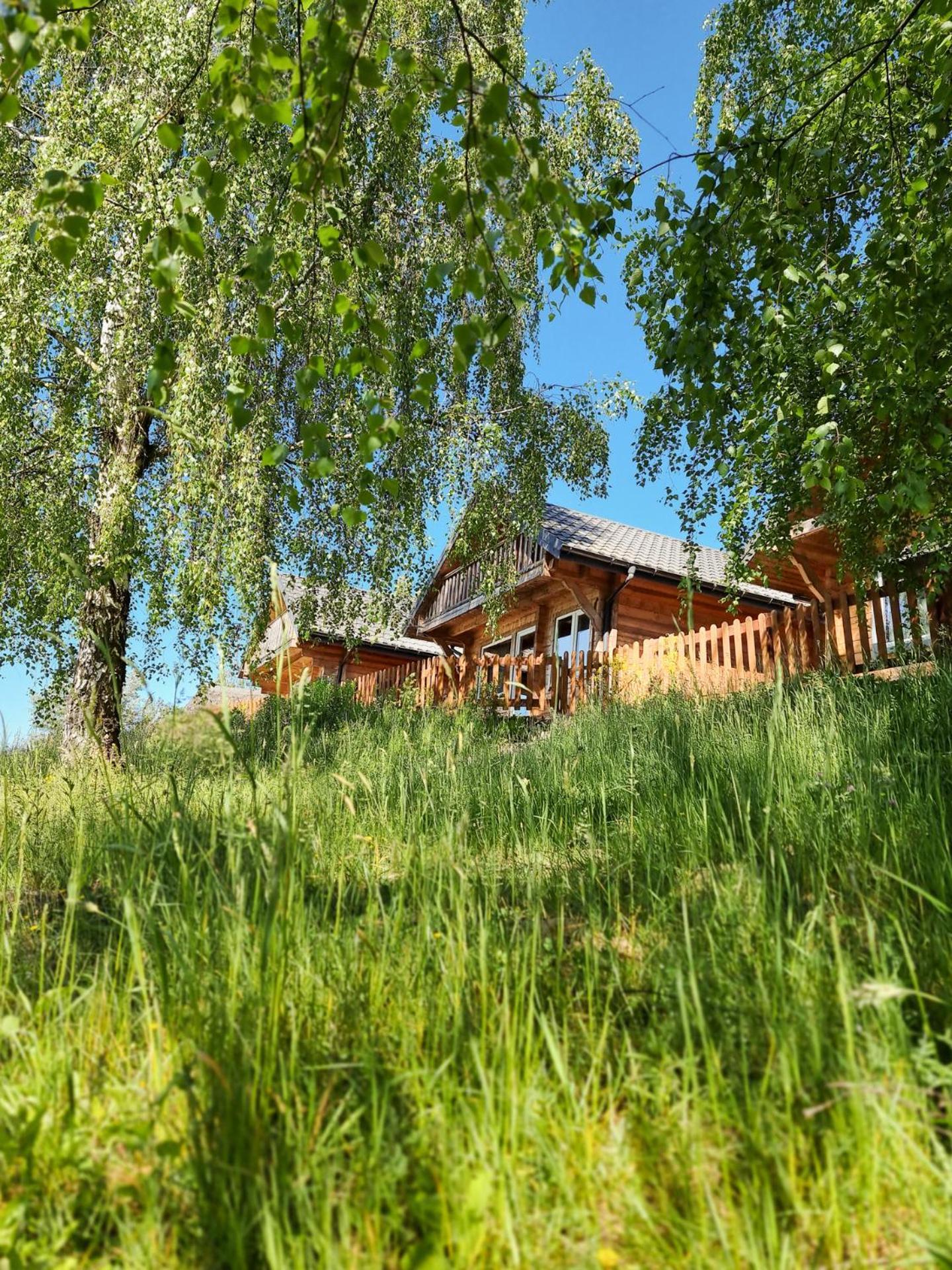 Osada Kryspinow Hotel Cholerzyn Kültér fotó